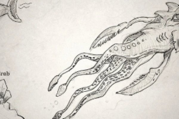 Kraken пользователь не найден при входе